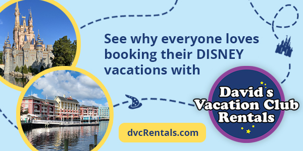 DVC Rental Banner Large
